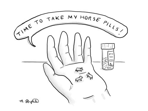 "Time to take my horse pills!"