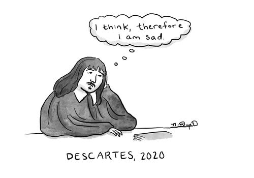 Descartes, 2020