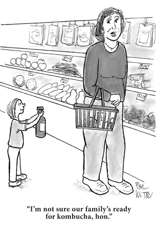 "I'm not sure our family's ready for kombucha, hon."