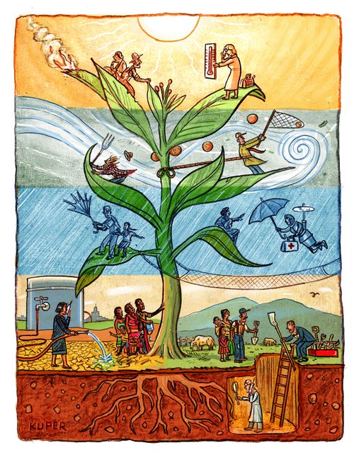 One tree in the four seasons of the year.