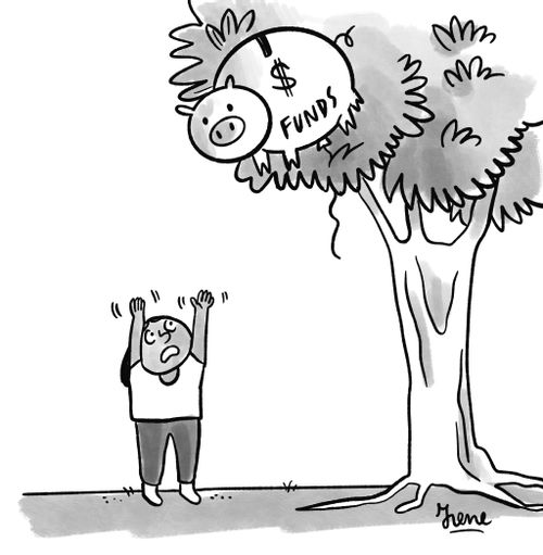 Child tries to get piggy bank out of a tree.