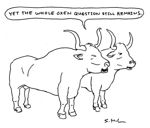 "Yet the whole oxen question still remains."