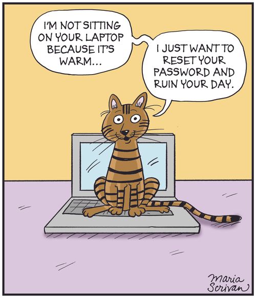"I'm not sitting on your laptop because it's warm... I just wanted to reset your password and ruin your day."