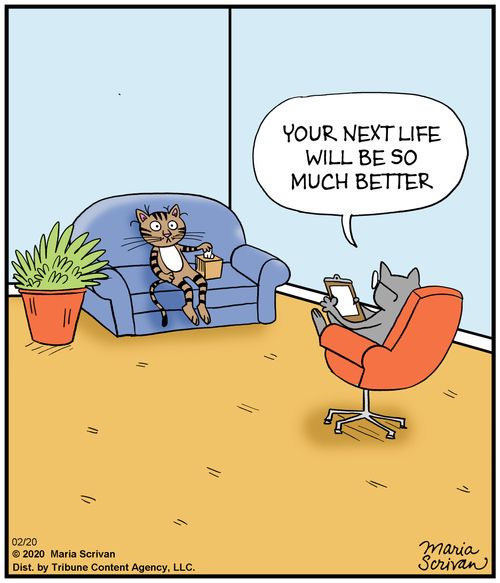 "Your next life will be so much better."