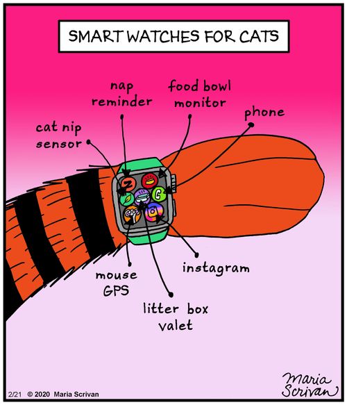 Smartwatches for cats