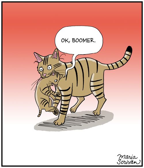 "OK, boomer."
