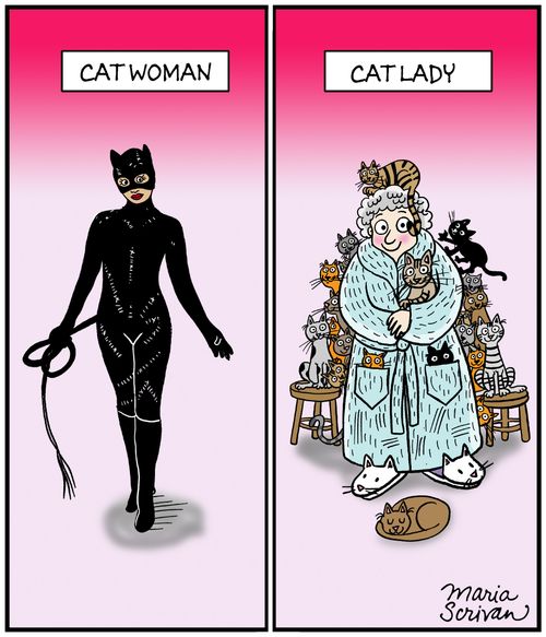 Catwoman // Cat Lady