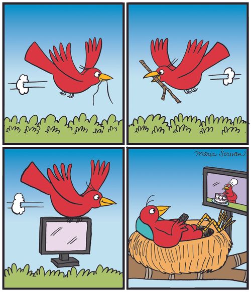 Bird collecting furniture for it's home.