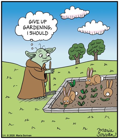 Give up Gardening, I should.