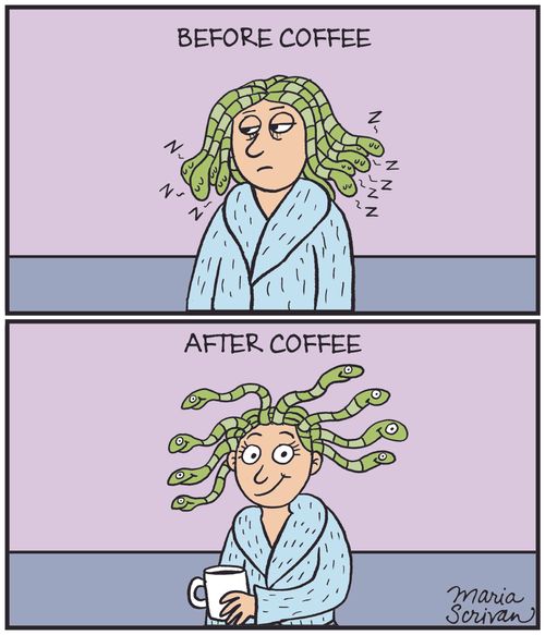 Medusa before coffee vs. Medusa after coffee.