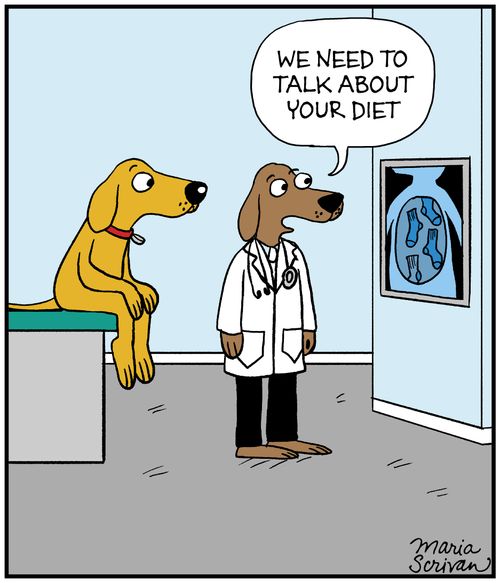 "We need to talk about your diet."