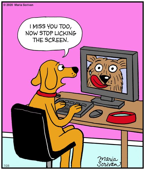 "I miss you too, now stop licking the screen."