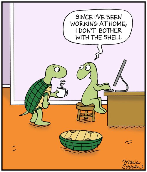 "Since I've been working at home, I don't bother with the shell."