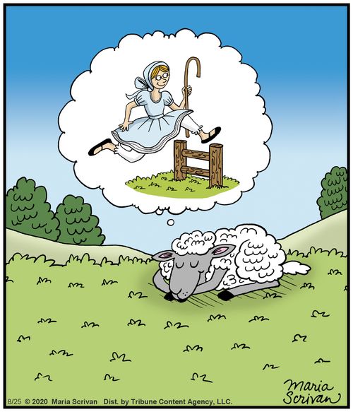 A sheep counts shepherdesses jumping a fence