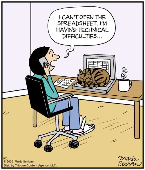 "I can't open the spreadsheet. I'm having technical difficulties." 