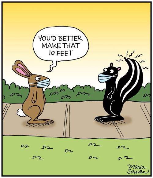 "You'd better make that 10 feet."