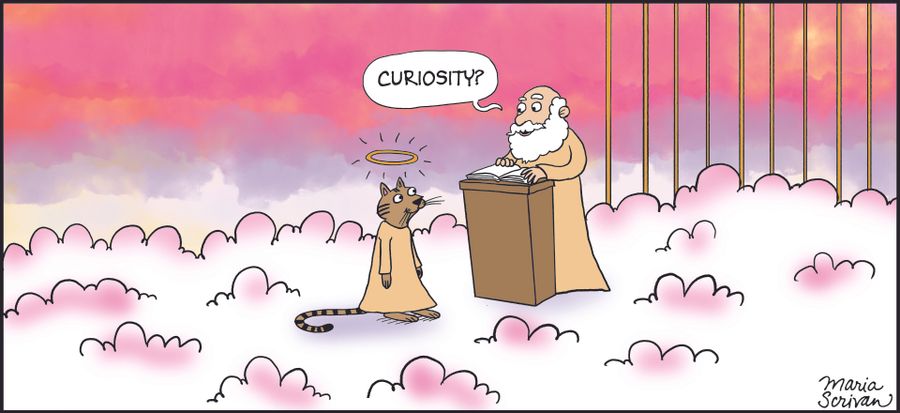 "Curiosity?"