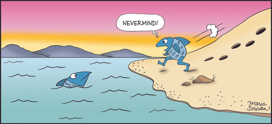 "Nevermind!"
