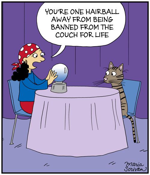 "You're one hairball away from being banned from the couch for life."