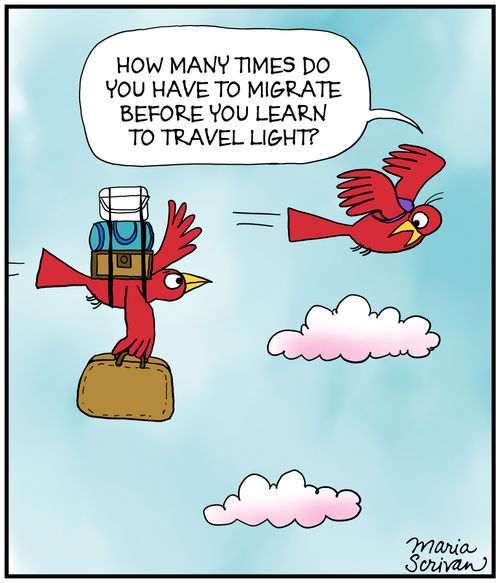 "How many times do you have to migrate before you learn to travel light?"