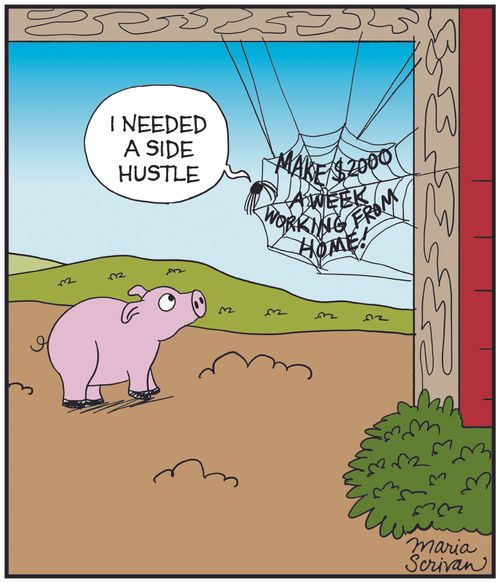 "I needed a side hustle."
