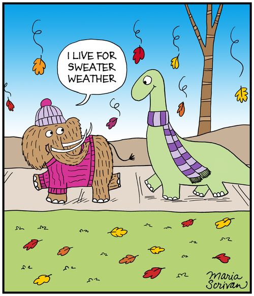 "I live for sweater weather."