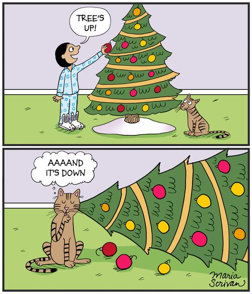 "Tree's up!"