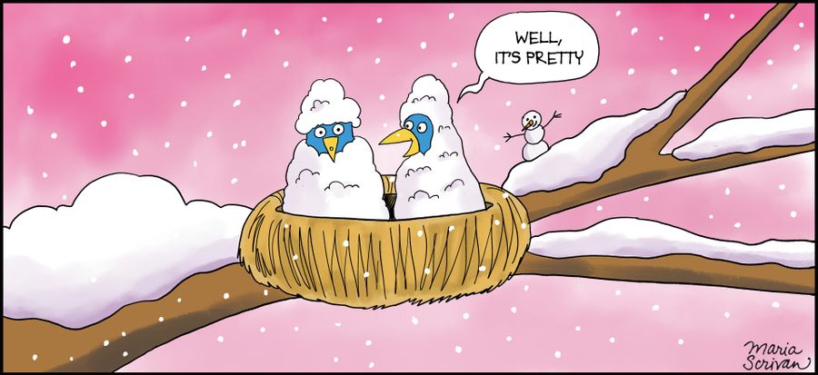 "Well, it's pretty."
