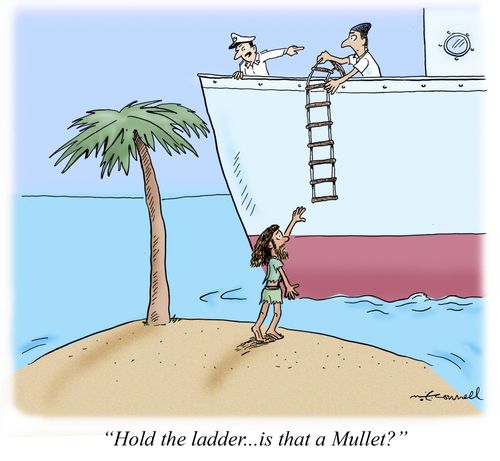 "Hold the ladder... is that a Mullet?"