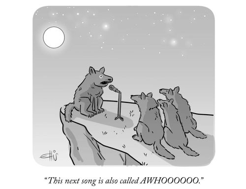 "This next song is also called AWHOOOOO."