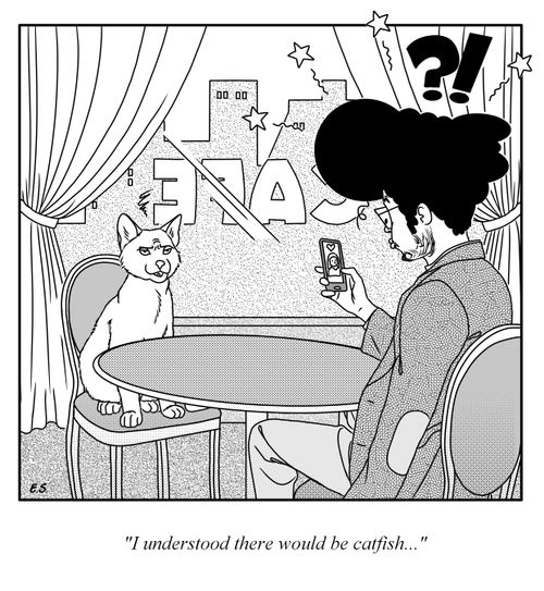 "I understood there would be catfish..."
