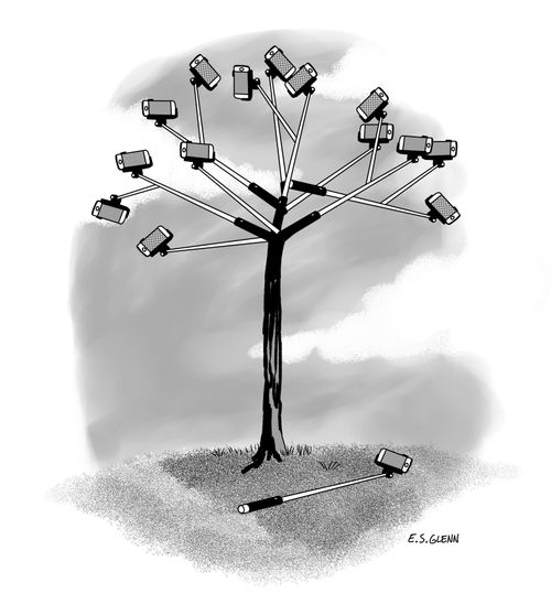 Selfie sticks growing on trees.
