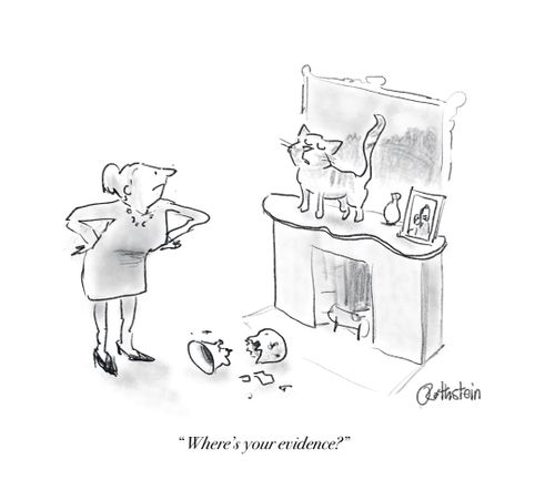 "Where's your evidence?"
