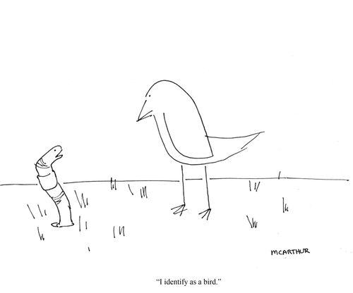 "I identify as a bird."
