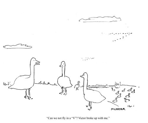 "Can we not fly in a "V"? Victor broke up with me."