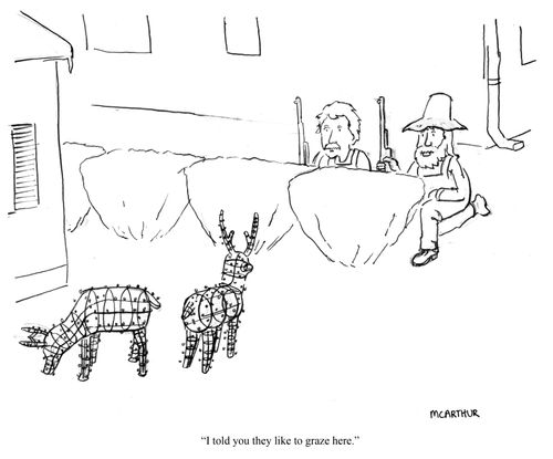 "I told you they like to graze here."