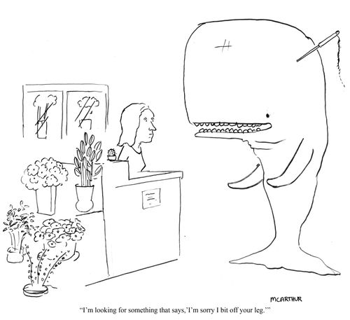 "I'm looking for something that says, 'I'm sorry I bit off your leg.'"