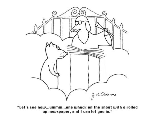 "Let's see now... ummm... one whack on the snout with a rolled up newspaper, and I can let you in."