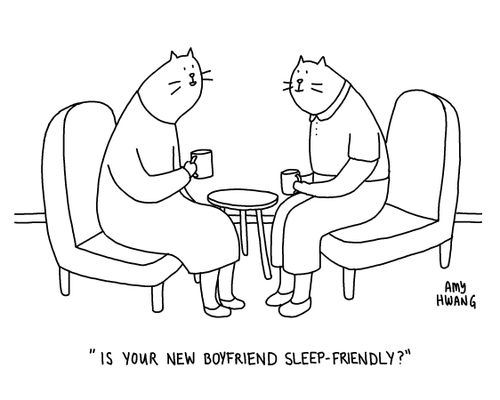 "Is your new boyfriend sleep-friendly?"