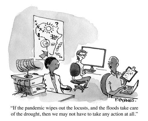 "If the pandemic wipes out the locusts, and the floods take care of the drought, then we may not have to take any action at all."
