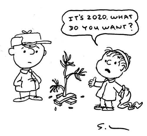 "It's 2020. What do you want?"