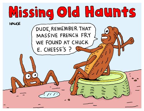 Missing Old Haunts