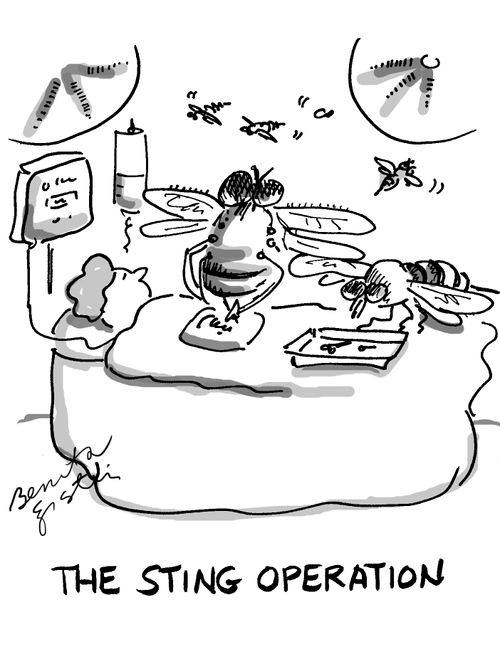 The Sting Operation