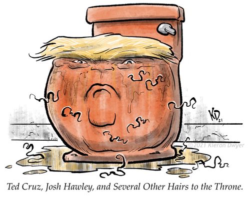Ted Cruz, Josh Hawley, and Several Other Hairs to the Throne.