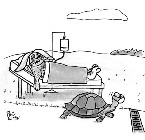 The tortoise and hare