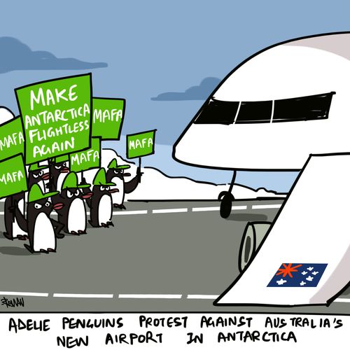 Adelie Penguins Protest Australian Antarctic Airport