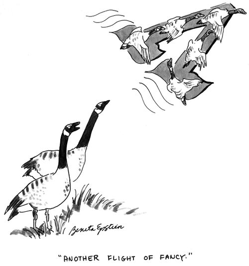 "Another flight of fancy."