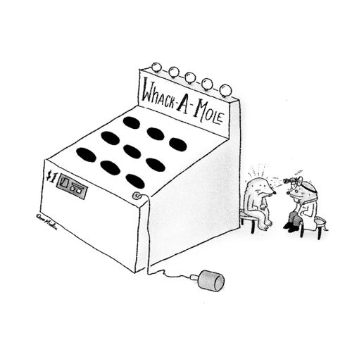 Whack-A-Mole