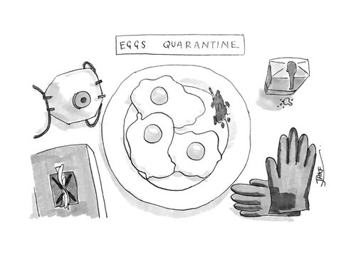 Eggs Quarantine 