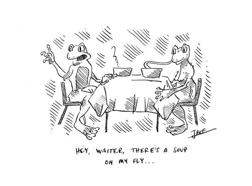 "Hey, waiter, there's a soup on my fly..."